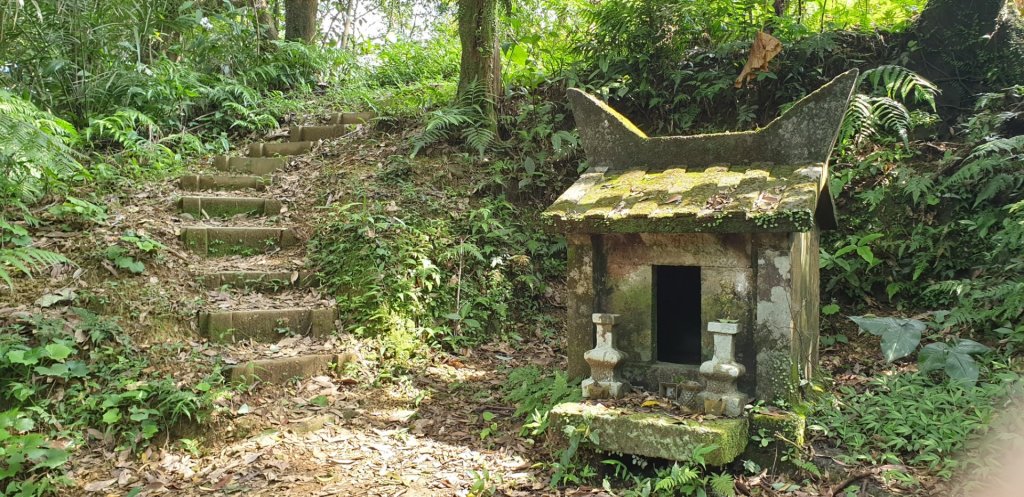 金字碑古道_871447