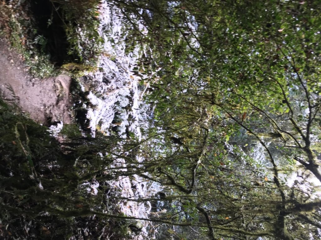 步道巡訪員 l 鎮西堡巡訪員12月巡訪-白雪皚皚_1234996