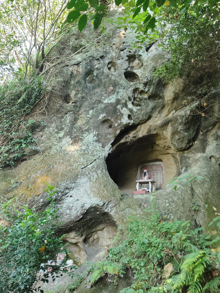 微笑山線：【大棟山系】百年大榕樹段_2868474