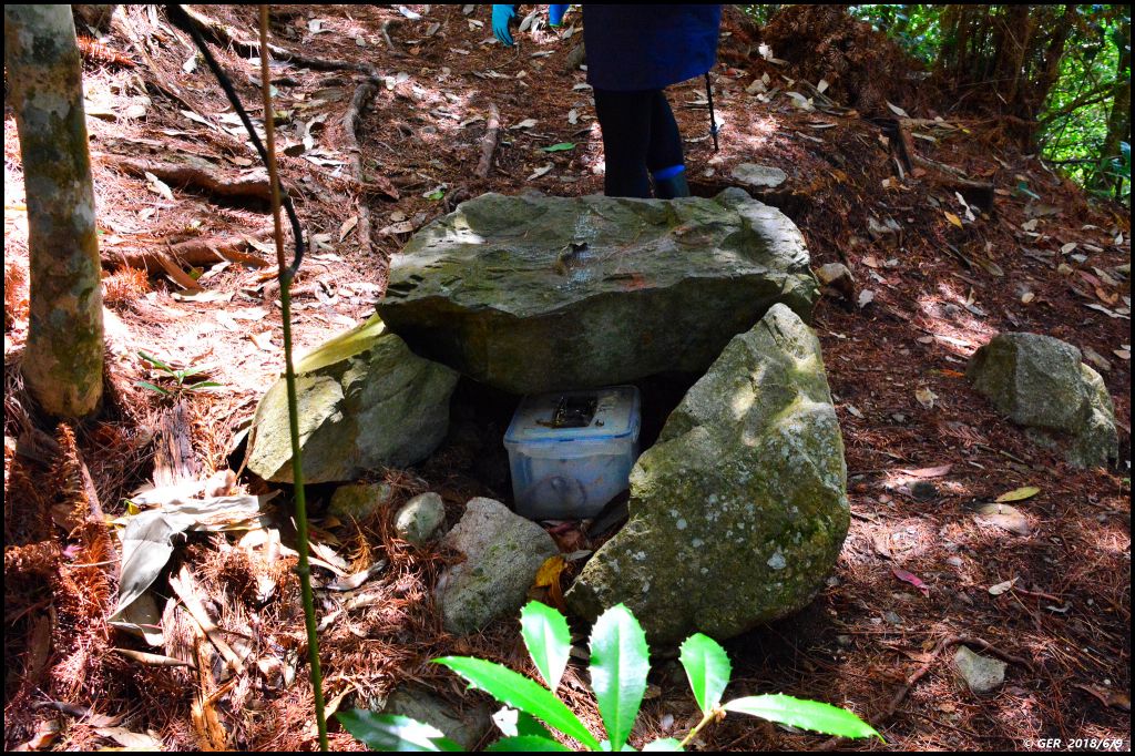 馬崙山..華麗的森林步道..谷關七雄 _350459