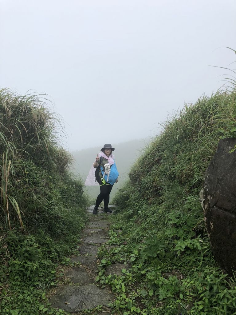 20180826陽明山東西大縱走(大屯山_395020