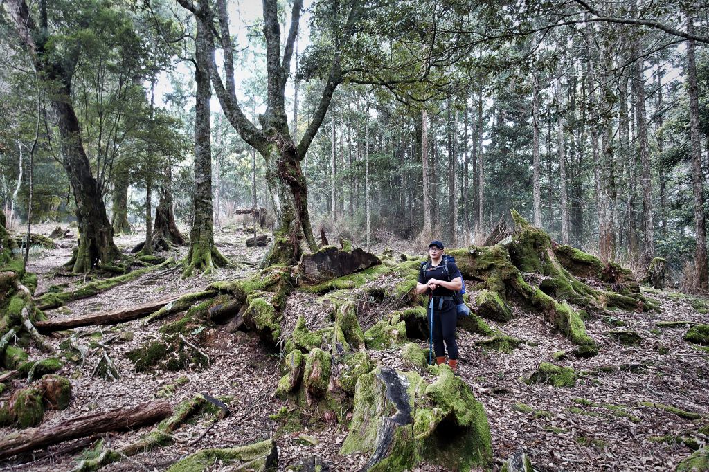 水漾森林。鹿屈山O型2018.04.04_307370