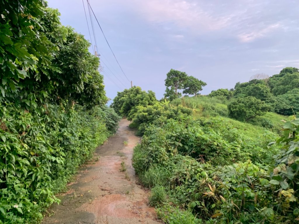 阿罩霧山（小百岳）_672405