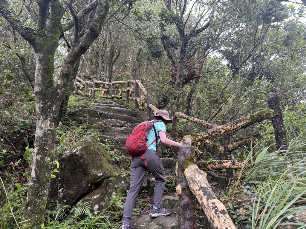 二格山 2025.07.20_2864220