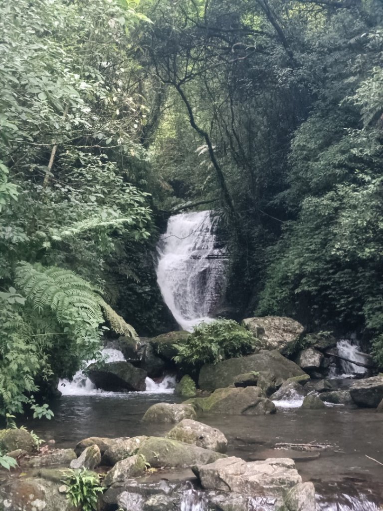 迷霧抹茶山封面圖