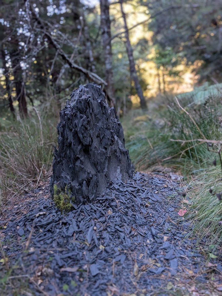 結界縱走三日(結城山、境界山、檜山)_2920881