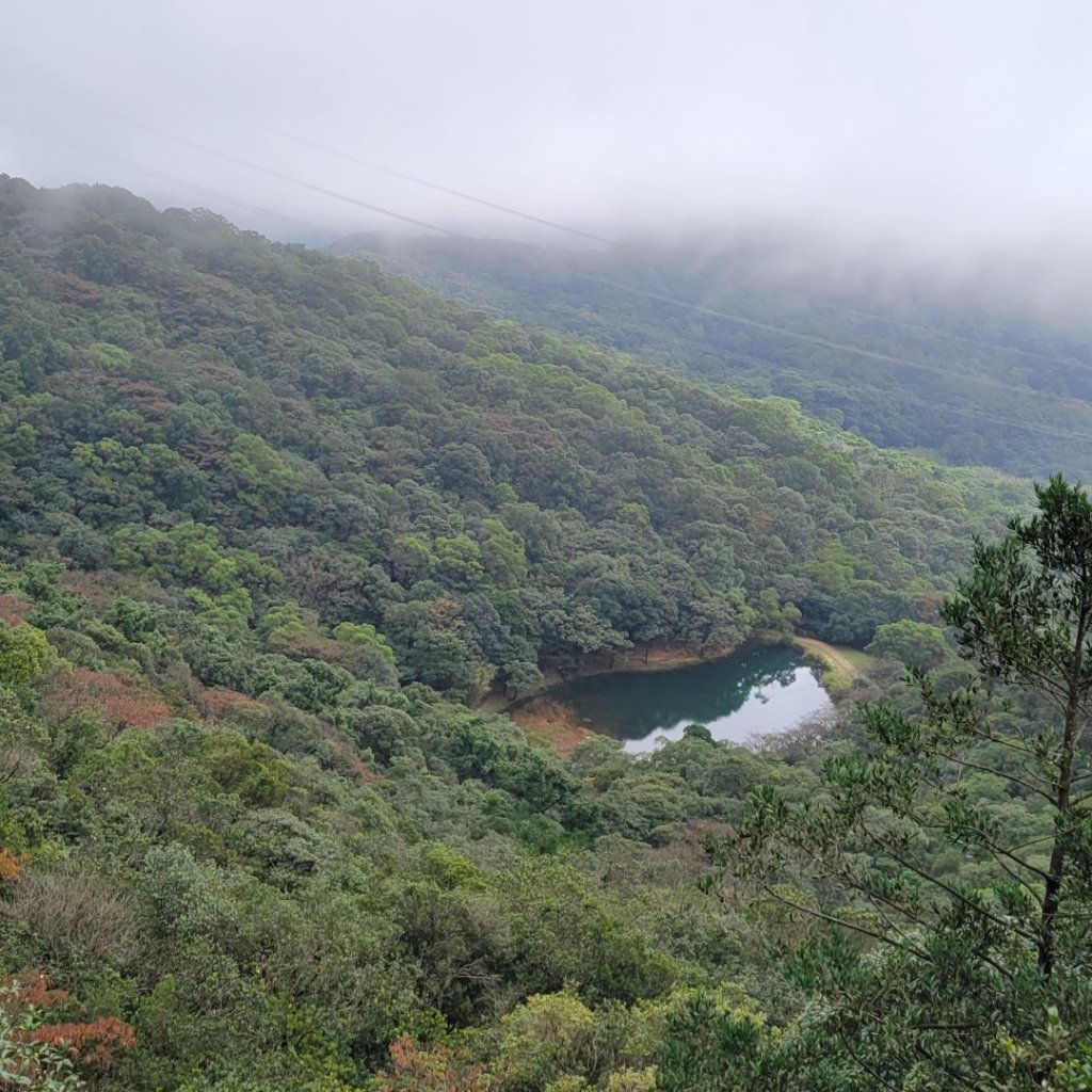 新山夢湖封面圖