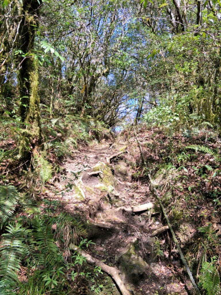 小百岳:李凍山_1619259