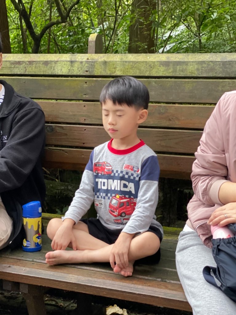 20191109貓仔們之溪頭森林步道探索_757158