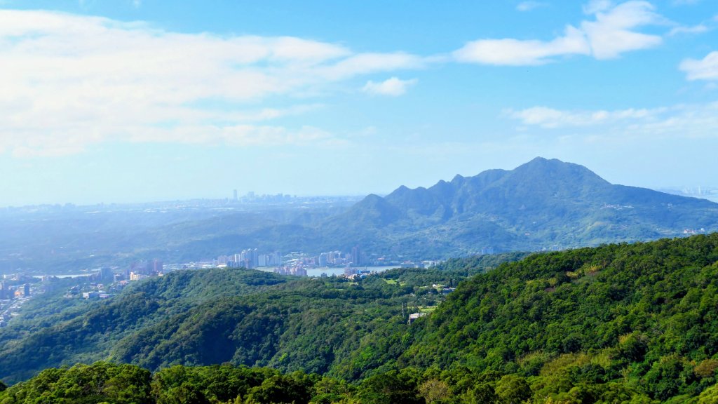 向天蝦不蝦_2936798