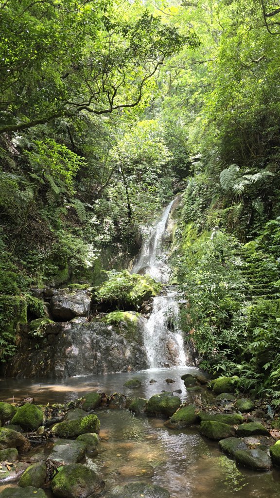 陽明山最涼爽的步道，陽明山五連瀑布，草山觀瀑吊橋，草山瀑布，大屯瀑布，小隱潭瀑布，白雲瀑布，翠峰瀑布_2810276