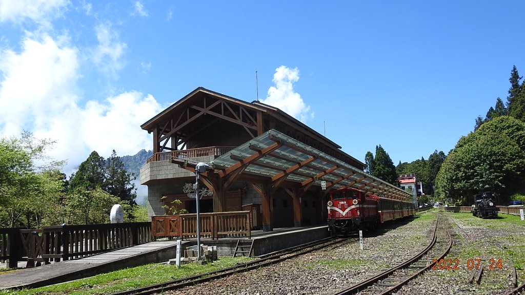 最高小百岳-大塔山2663M&阿里山二延平步道_1775095
