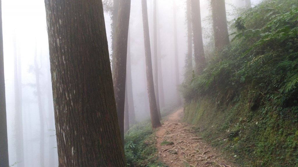 霹靂山封面圖