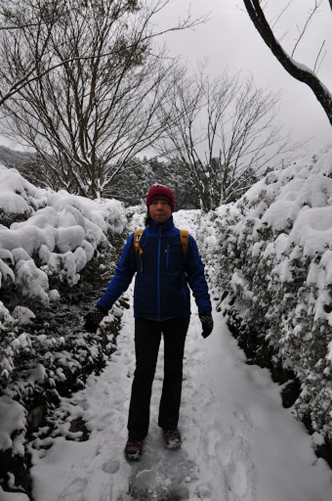 東眼山國家森林遊樂區 賞雪趣 _30104