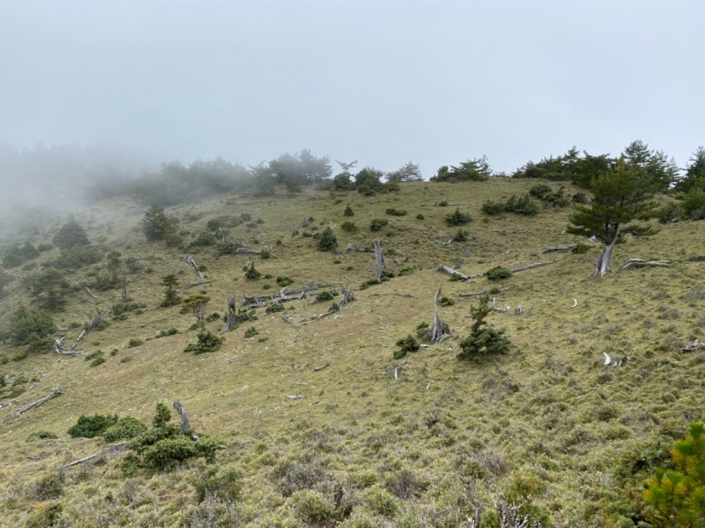 馬博橫斷完百行_1489606