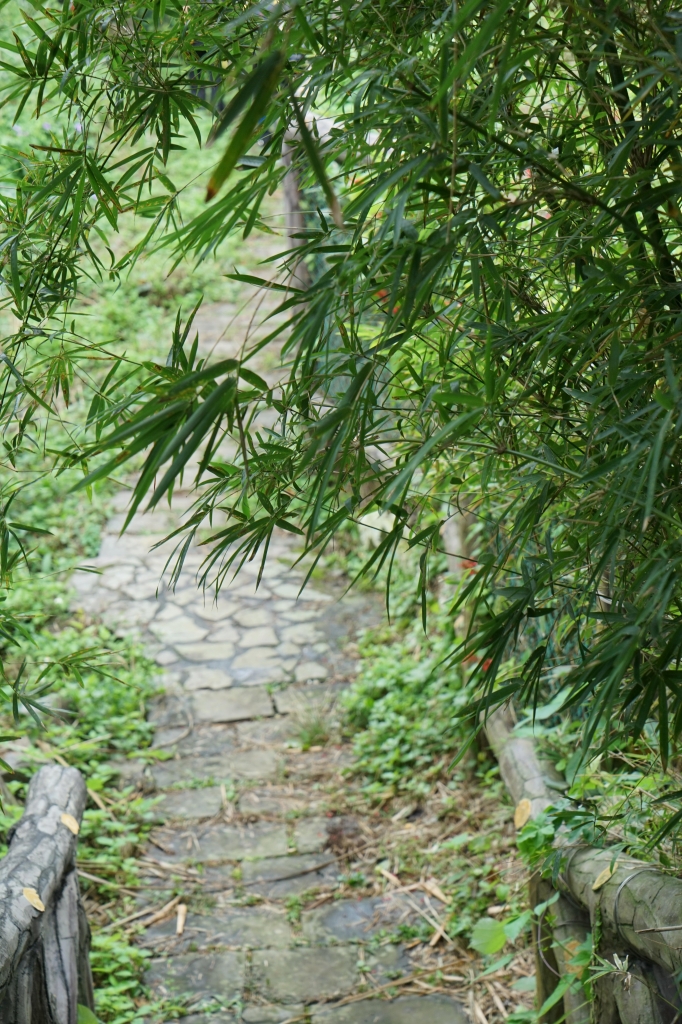 【步道小旅行】天母水管路步道_2737