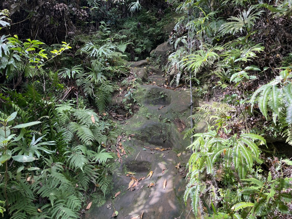 [微笑山線_第九段] 2025_0914 二格山系_皇帝殿東峰_2889482