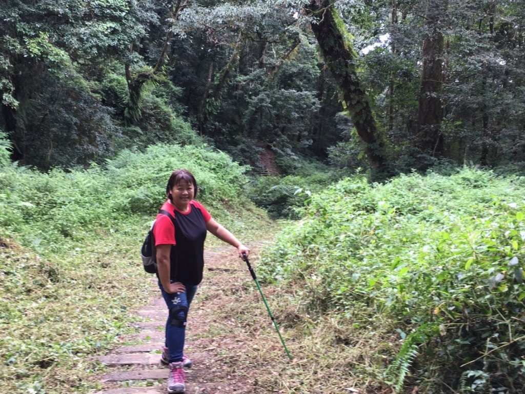 特富野古道賞舊鐵道_479708