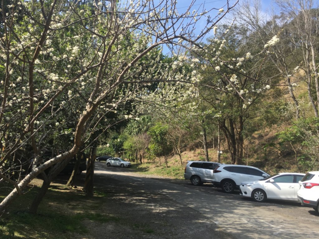 水牛城、百年土地公_2036492