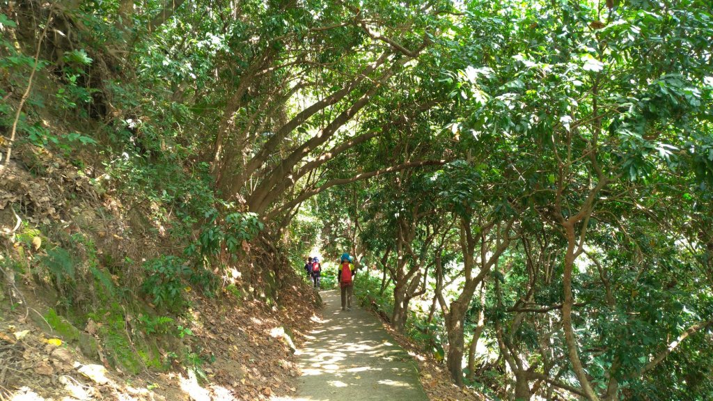 小百岳行~三汀山、碑頭山－女兒幸福陪伴_632072