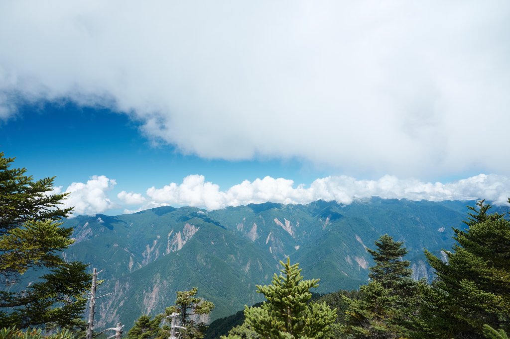 白姑大山單攻19小時奮戰封面圖