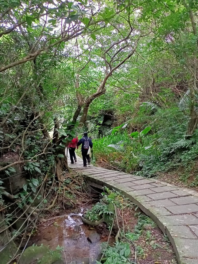 山海壯闊的鼻頭角步道【南山神壽任務】_1962438