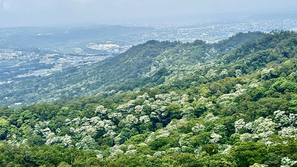 三員縱走封面圖