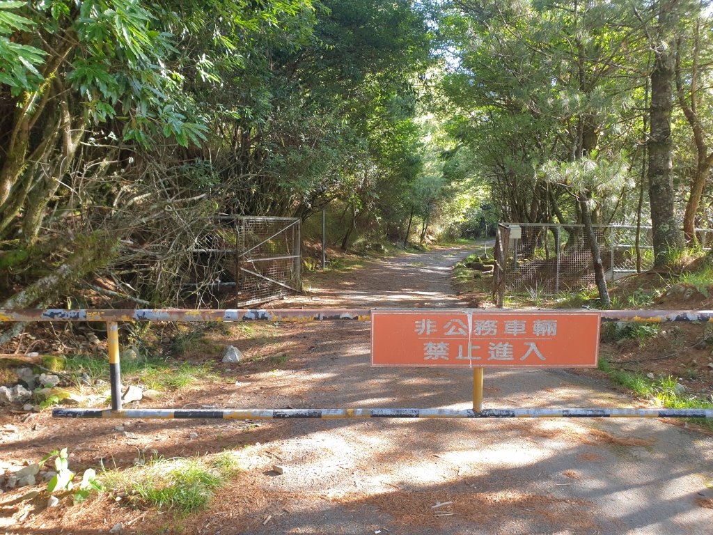 20220821大雪山森林遊樂區北三錐山_1834283