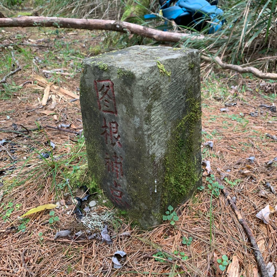 20231106高雄塔關山_2354108