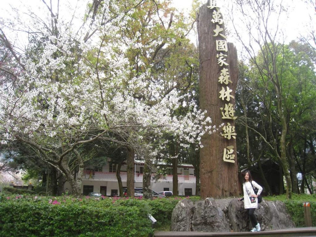 〔太平山〕見晴懷古步道 翠峰湖環山步道 山毛櫸步道。〔南投〕奧萬大國家森林遊樂區 鹿谷鳳凰谷鳥園封面圖