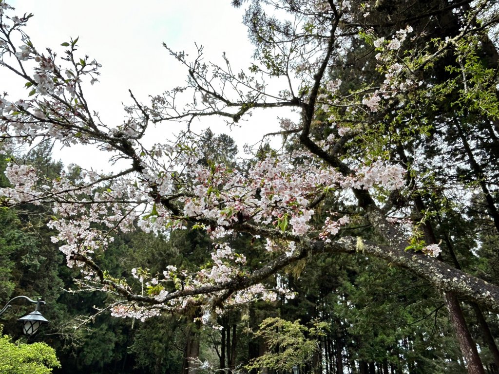 2023尋訪消失的眠月線聚焦失落沉寂的百年鐵道之旅_2110459