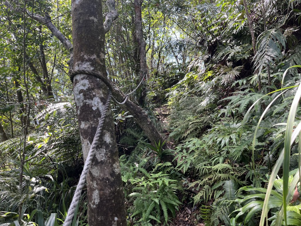 [微笑山線_第九段] 2025_0914 二格山系_皇帝殿東峰_2889479