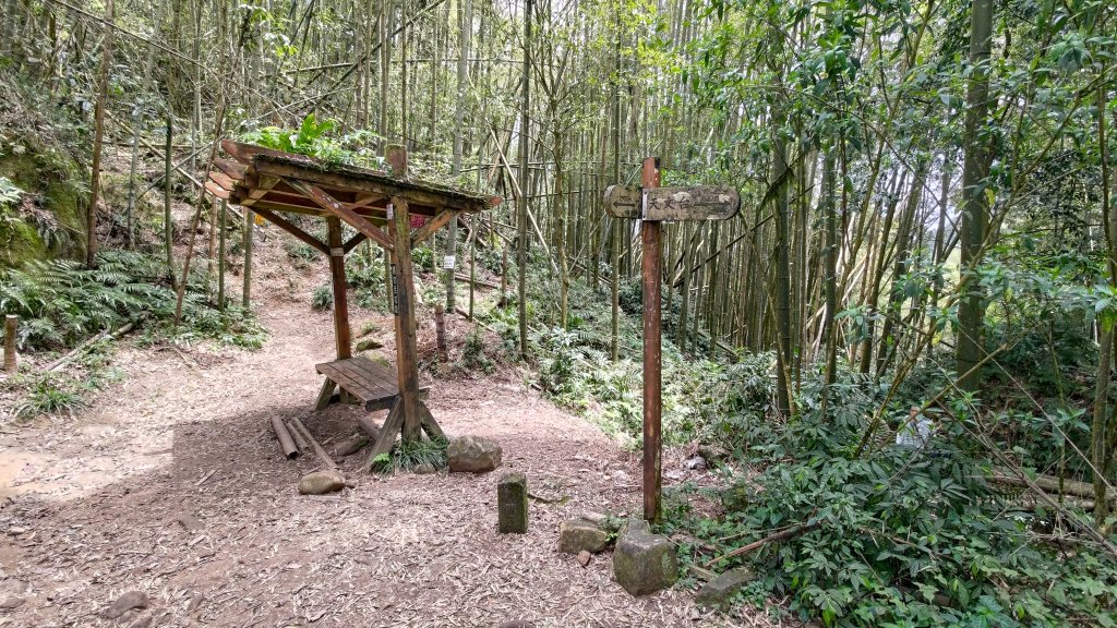 溪頭鳳凰山_2759183