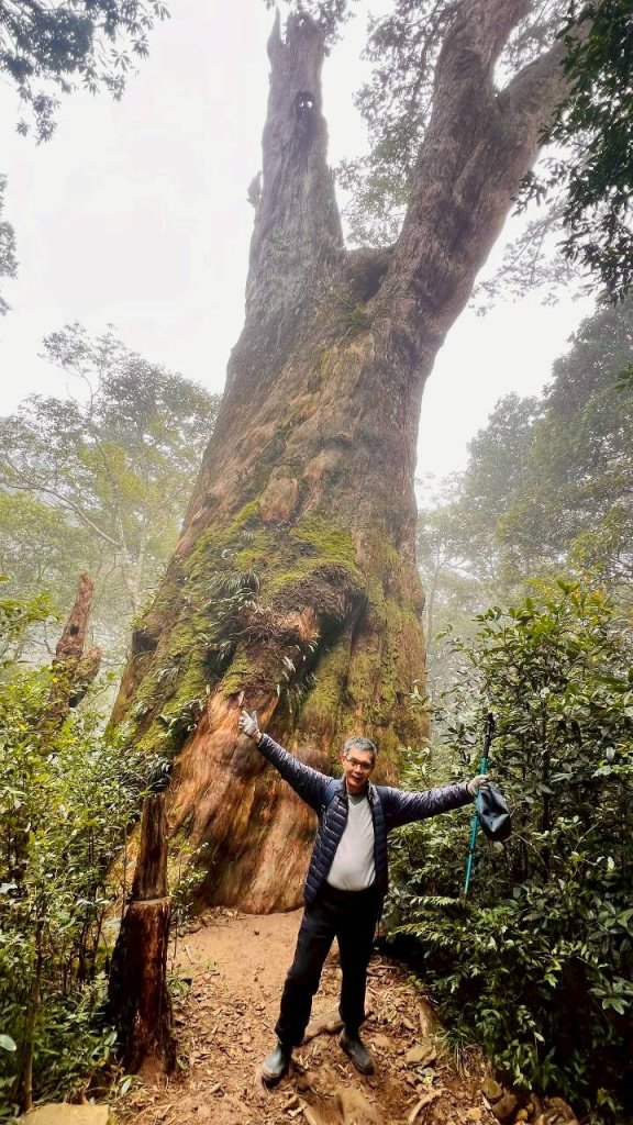 🌈12/28（日）北得拉曼神木+內鳥嘴山✨FB：熊熊趴爬走🌈_2971268