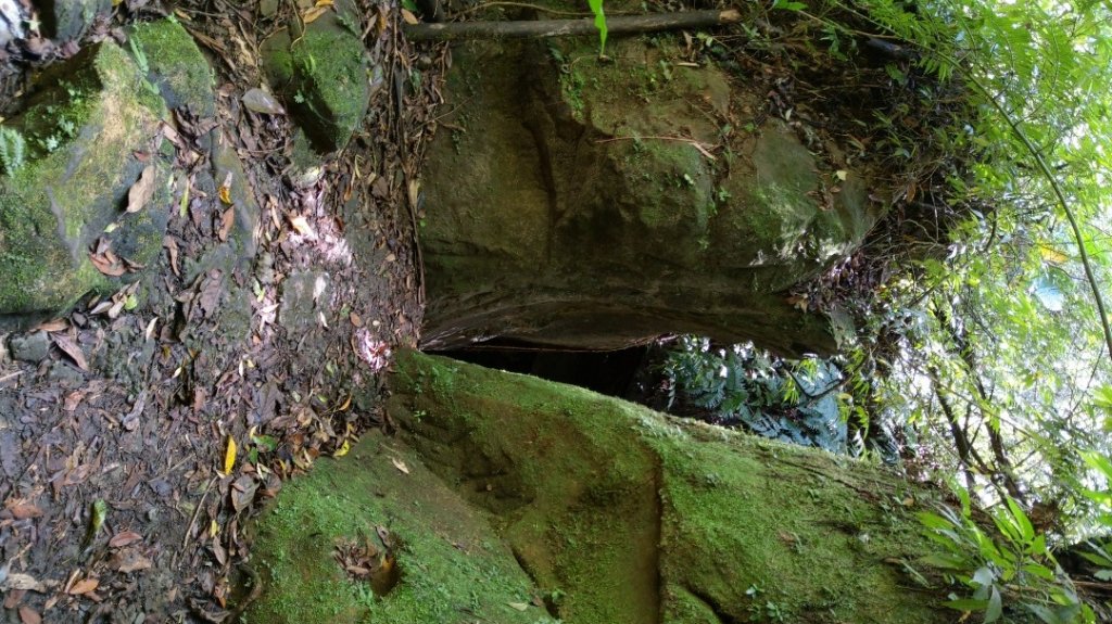 孝子山慈母峰普陀山_1117026