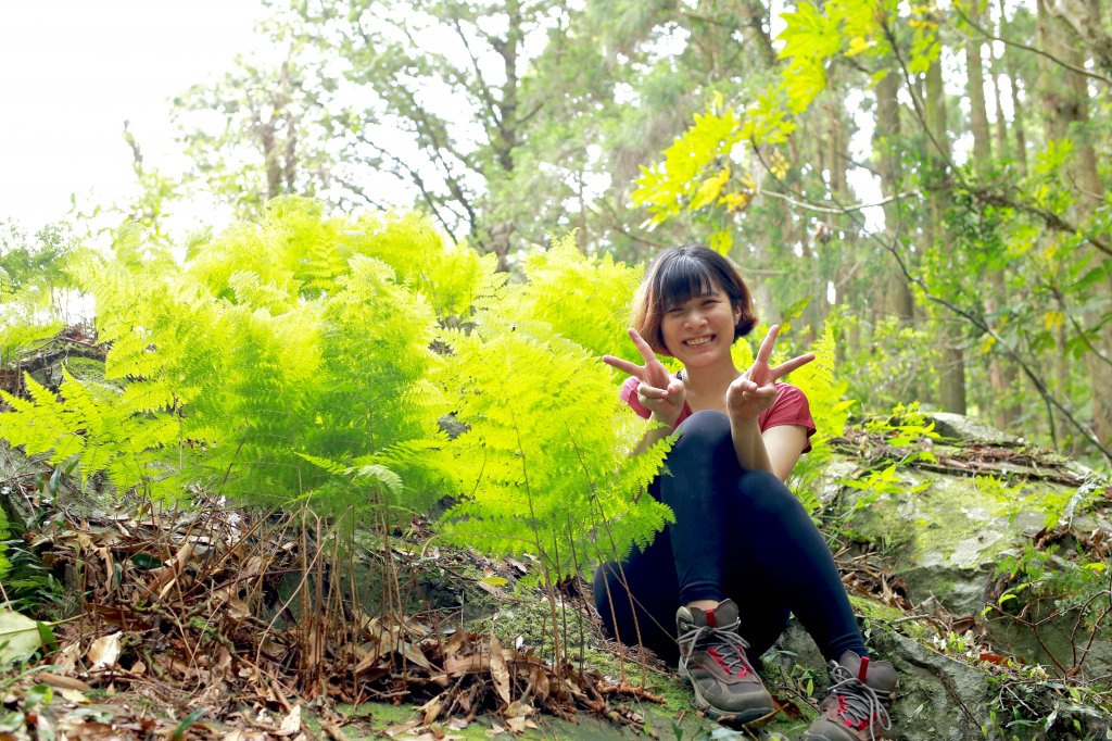 尖石鄉：貴妃山、石猴鞍部_656932