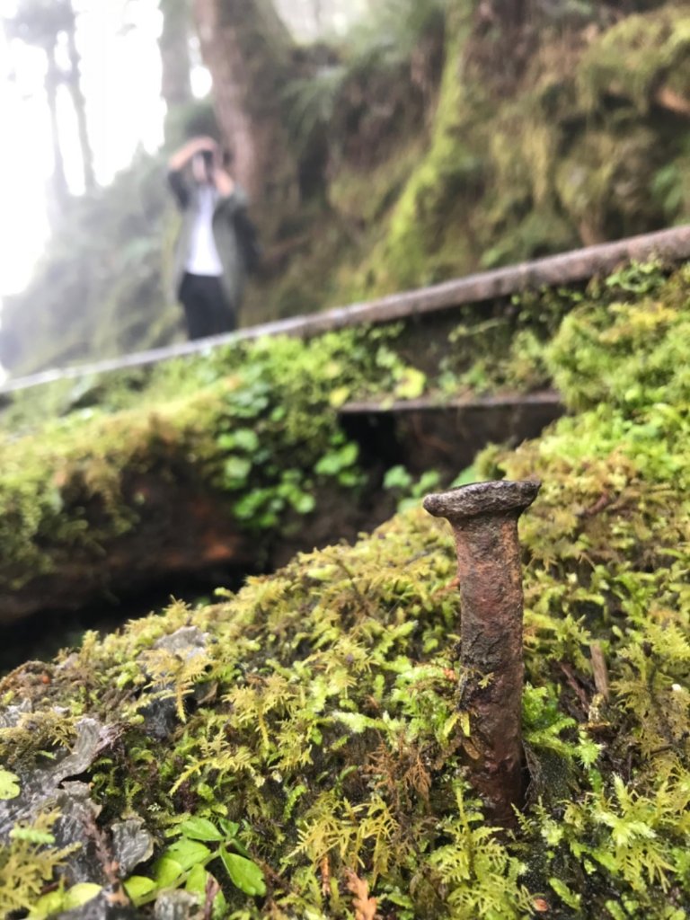 見晴古道。0.9K的抒情浪漫_1494480