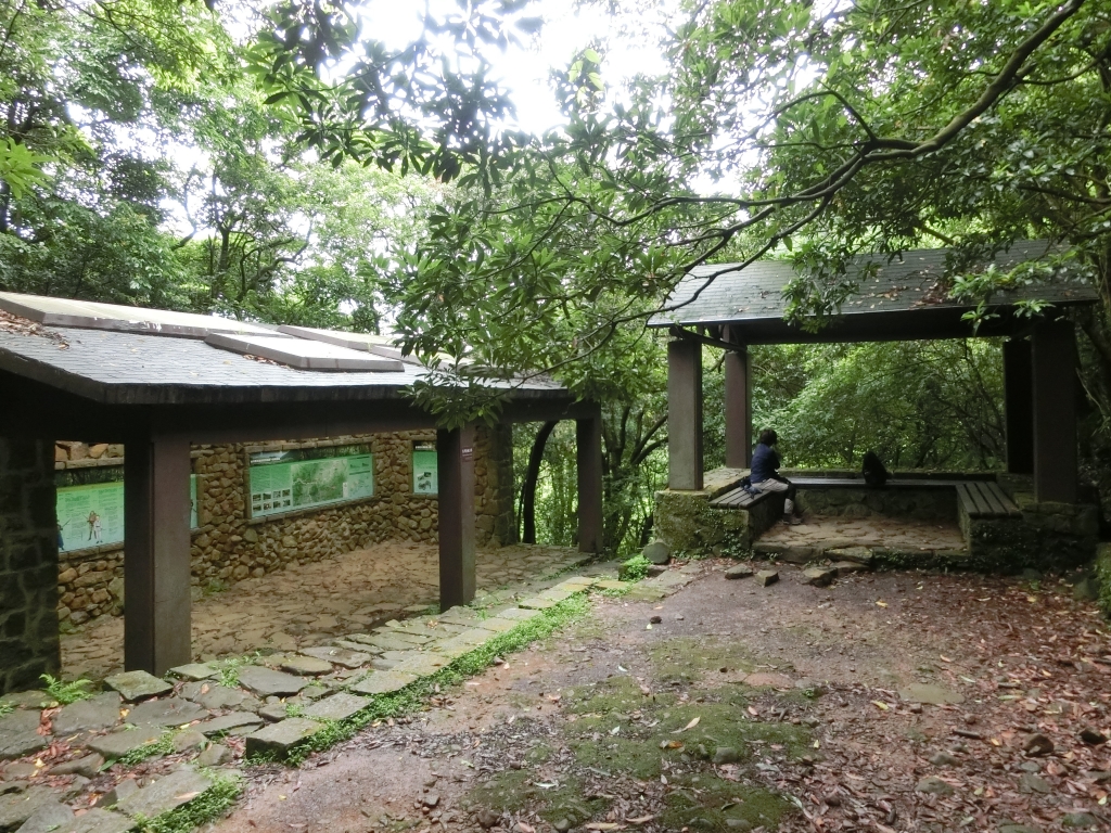 魚路古道．擎天崗．竹篙山_94456
