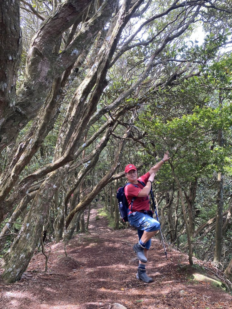 20220618_大坪登山口上加里山_1749720