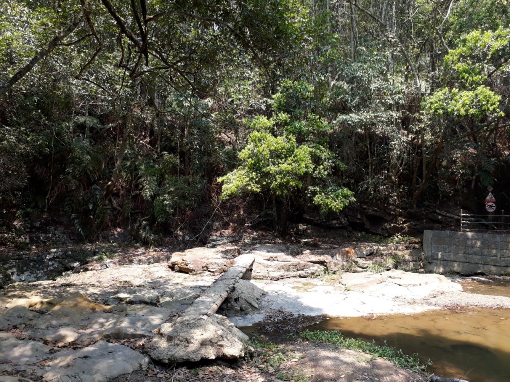 南投魚池澀水生態步道20190409_563552