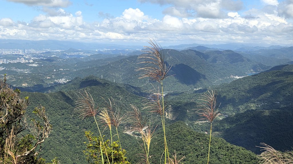 風和日麗來去烏來三山享受森林芬多精_2984350