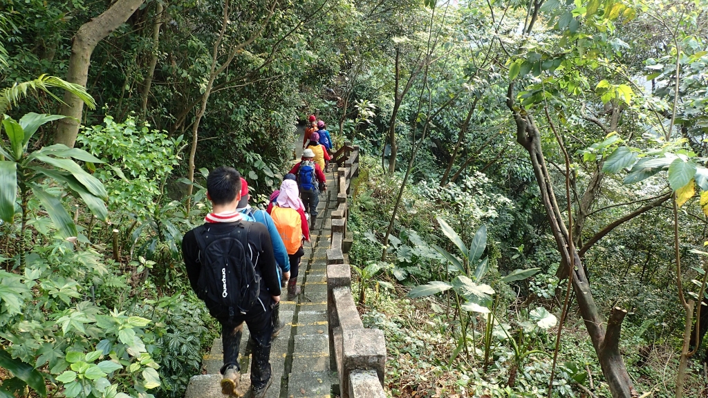 北部三大縱走之界寮大縱走_50245