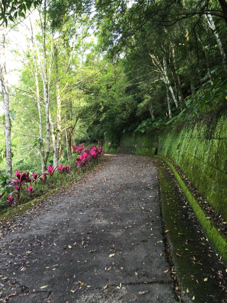 礁溪聖母山莊登山步道_354511