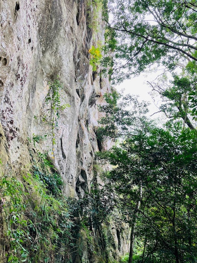 打鐵寮古道-白石山_2407437