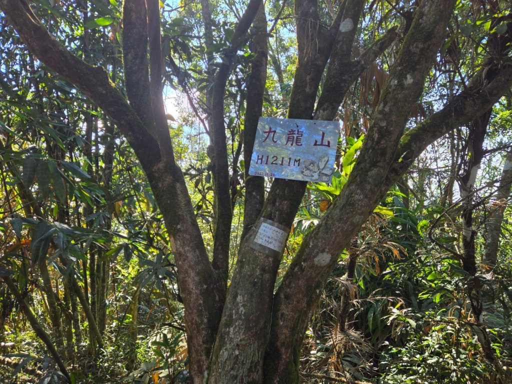 九龍山連走大凍山_2955715