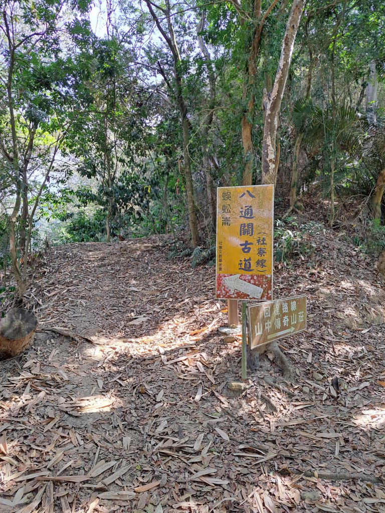 竹山八通關古道社寮段+陳東坑山+溪洲大山ｄ型走20230219_2037426