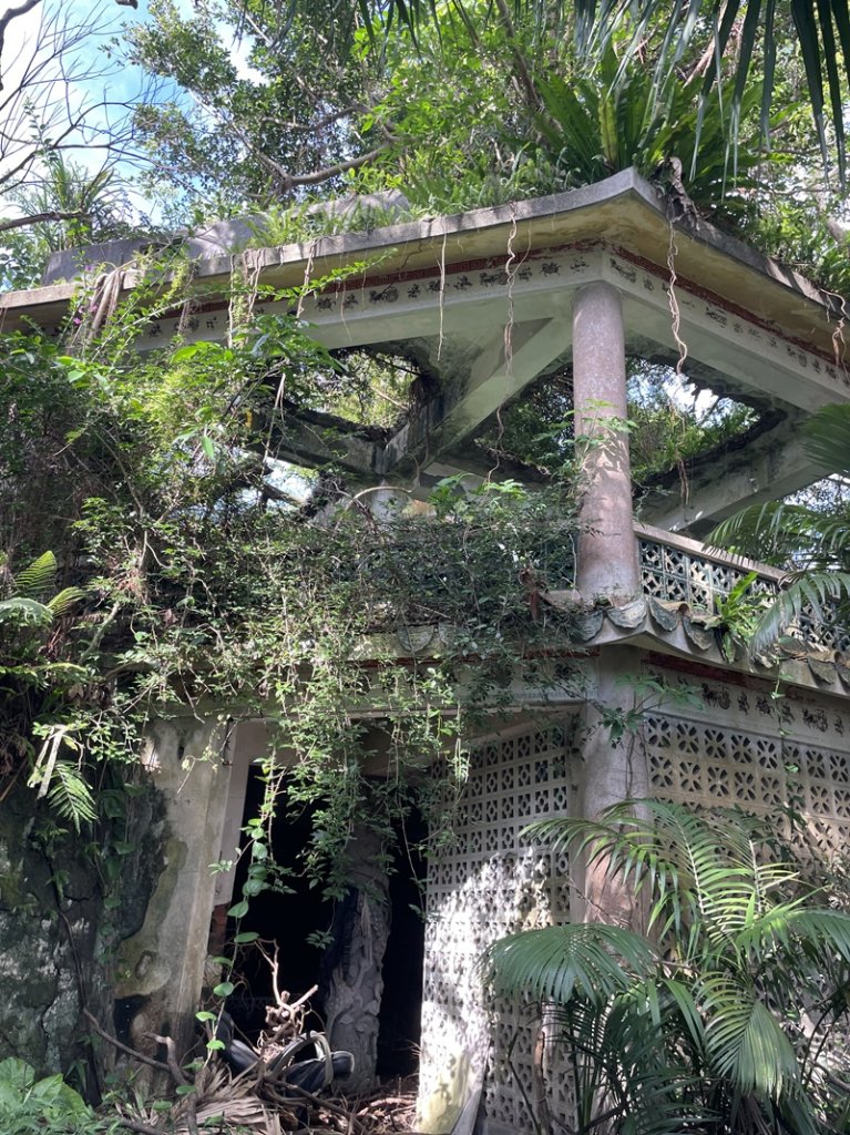 【二格山系】和美山螢火蟲_2852555
