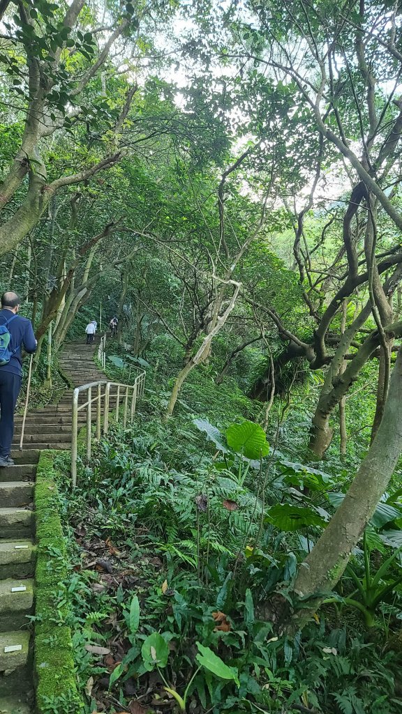 2023-0114四獸山九五峰O型_1993500