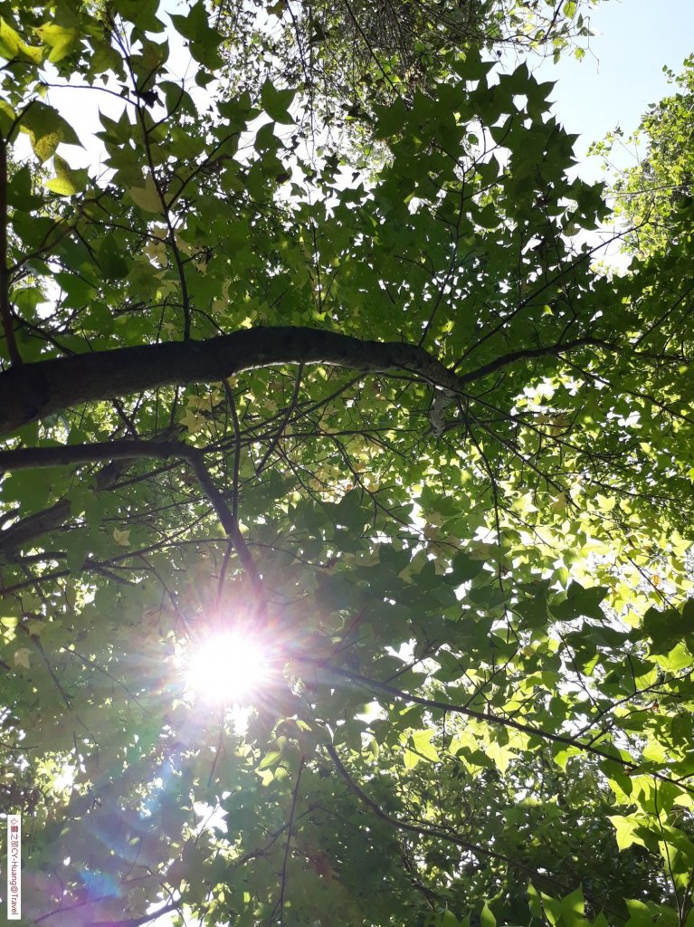 台中太平三汀山登山步道20181021封面圖