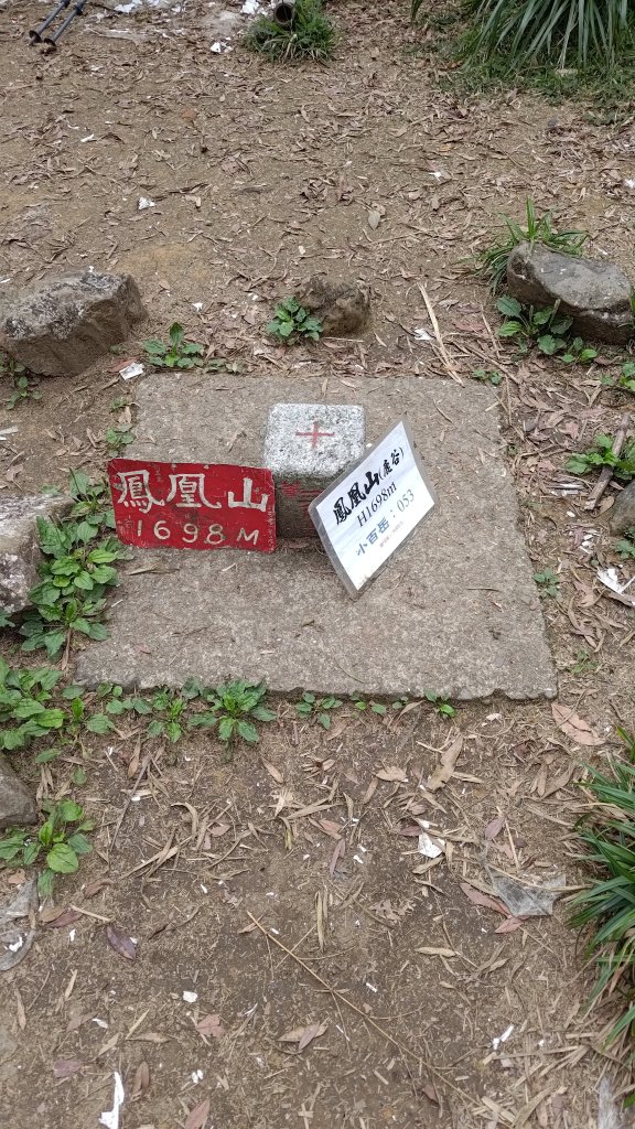 溪頭鳳凰山_2759188